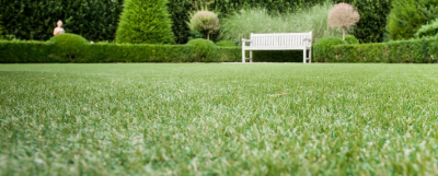 Buy Artificial Grass Online at Best Price in UK