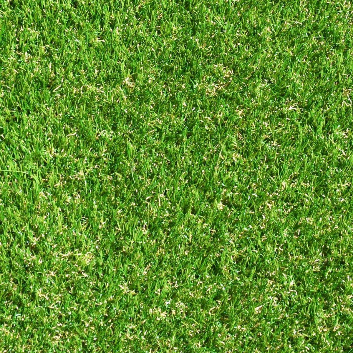 Namgrass - Exbury Bright 30mm Artificial Grass