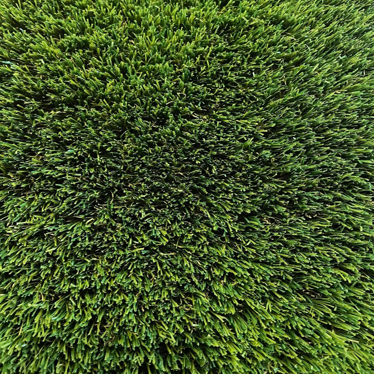 SAMPLE - Buxton 38mm Artificial Grass