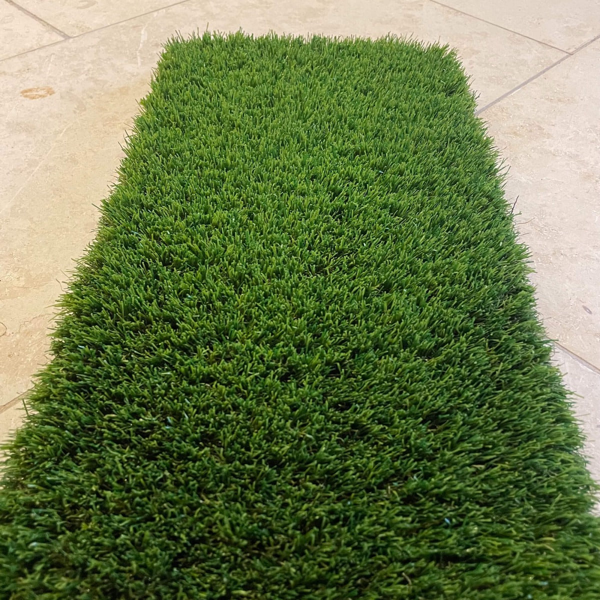 Buxton 38mm Artificial Grass