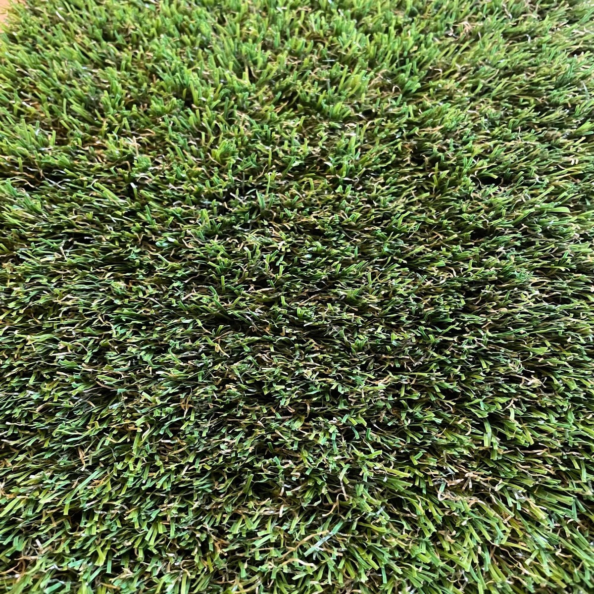 SAMPLE - Castleton 32mm Artificial Grass