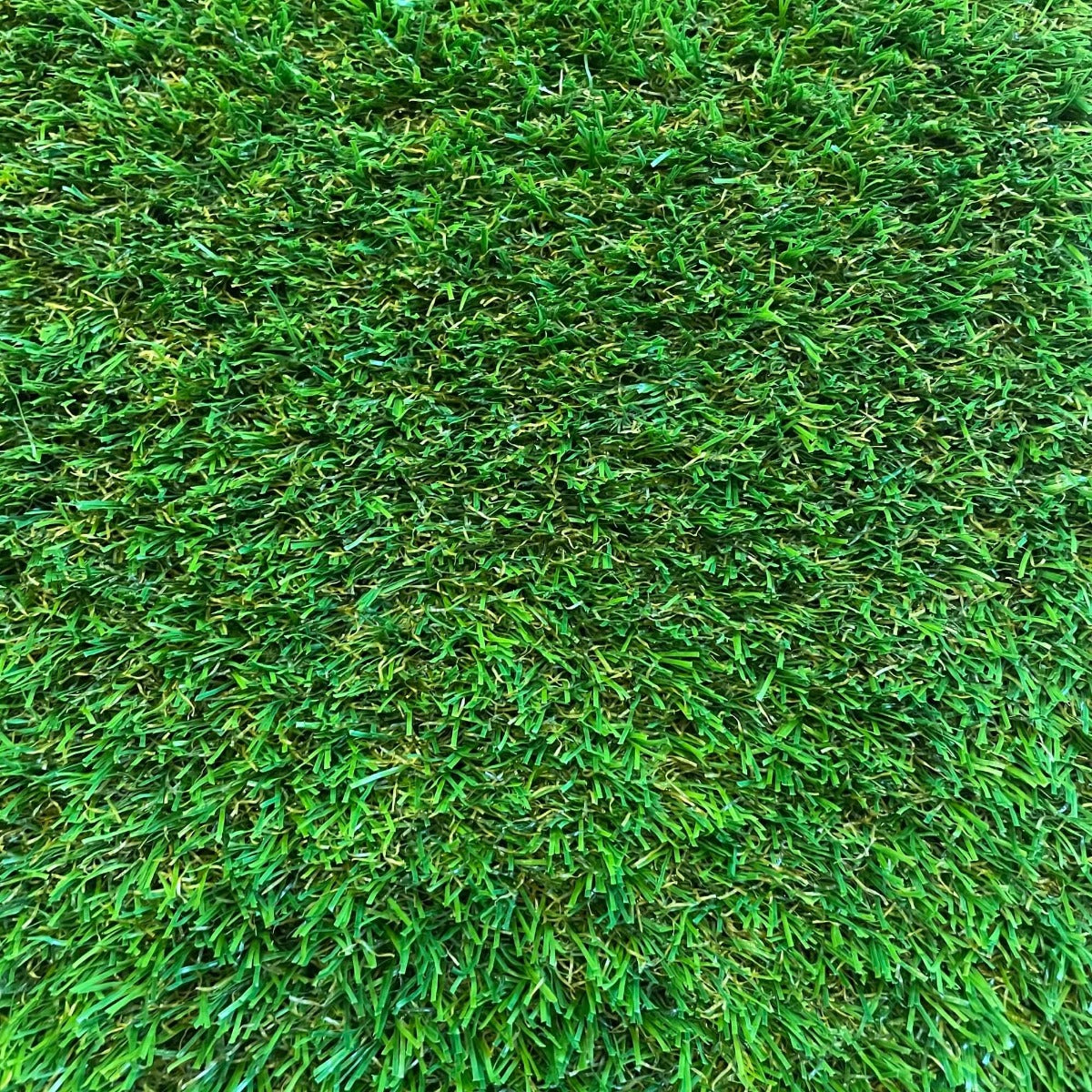 Eyam 20mm Artificial Grass