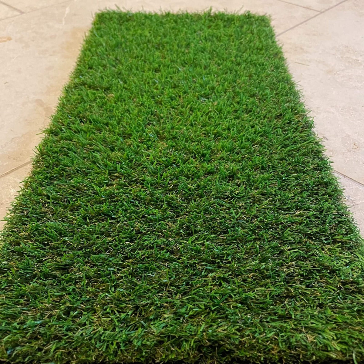 Eyam 20mm Artificial Grass