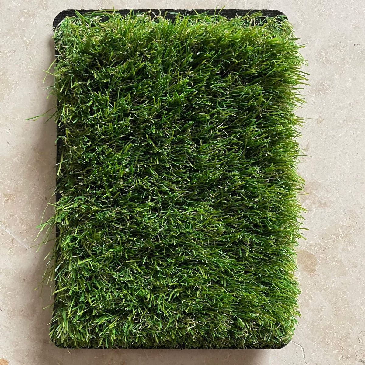 SAMPLE - Chatsworth 38mm Artificial Grass