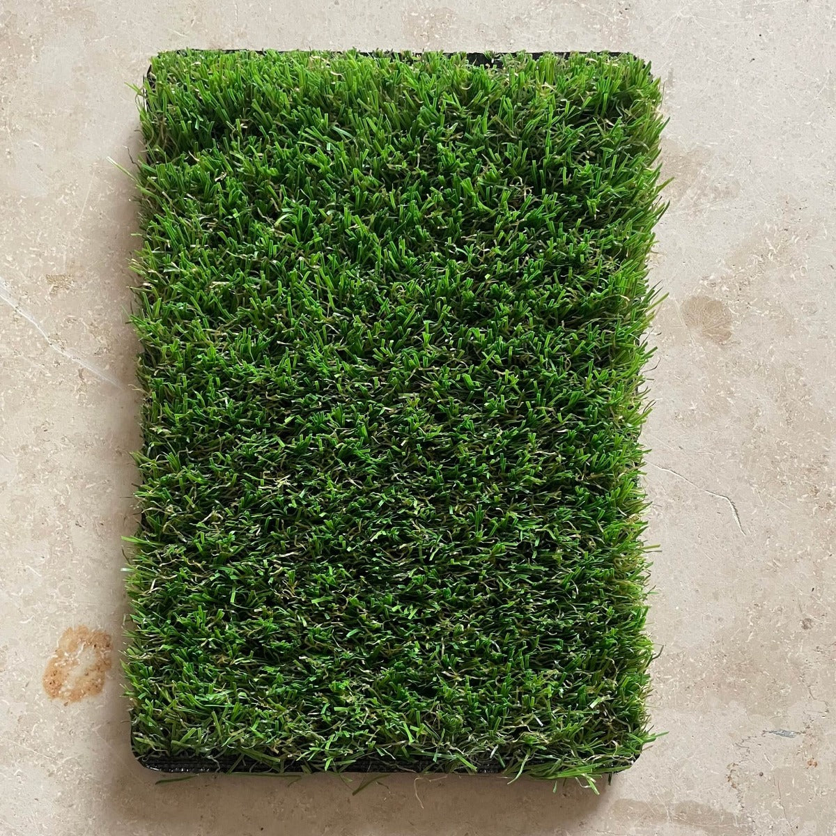 SAMPLE - Eyam 20mm Artificial Grass