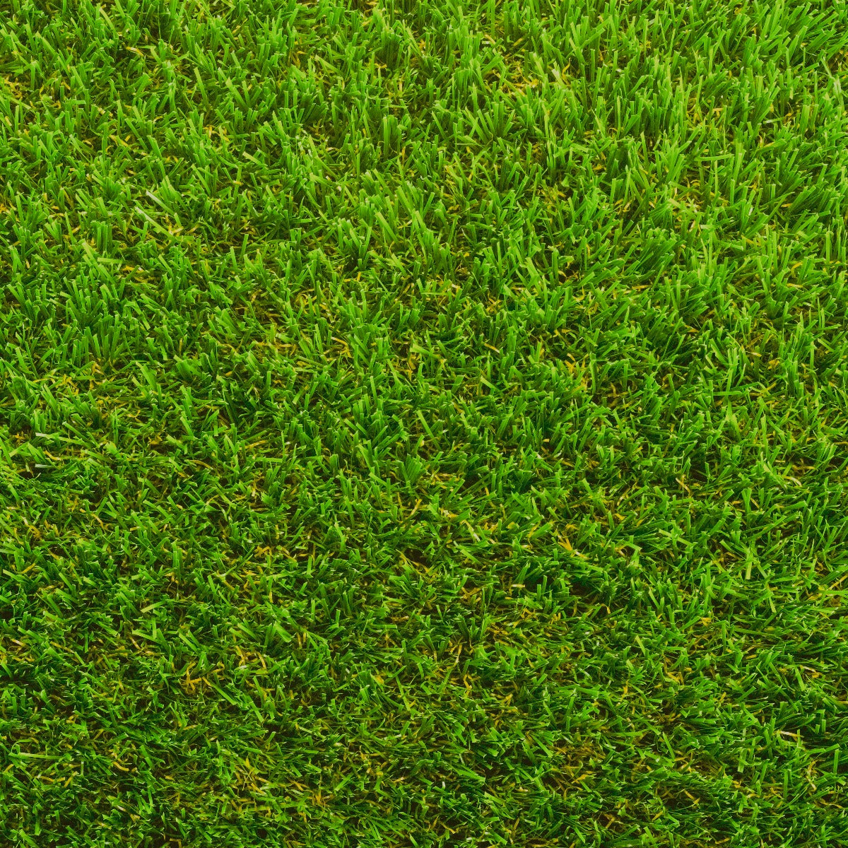 Namgrass - Serenity 37mm Artificial Grass