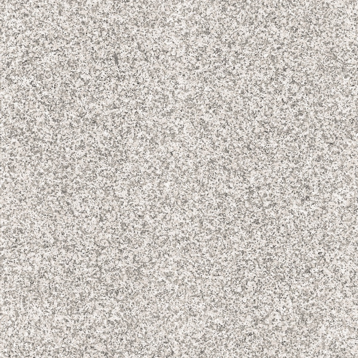 SAMPLE - Stone Effect - Silver Granite Outdoor Porcelain Paving Tiles